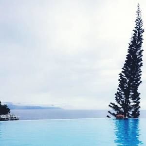 Meet your Posher, Haley